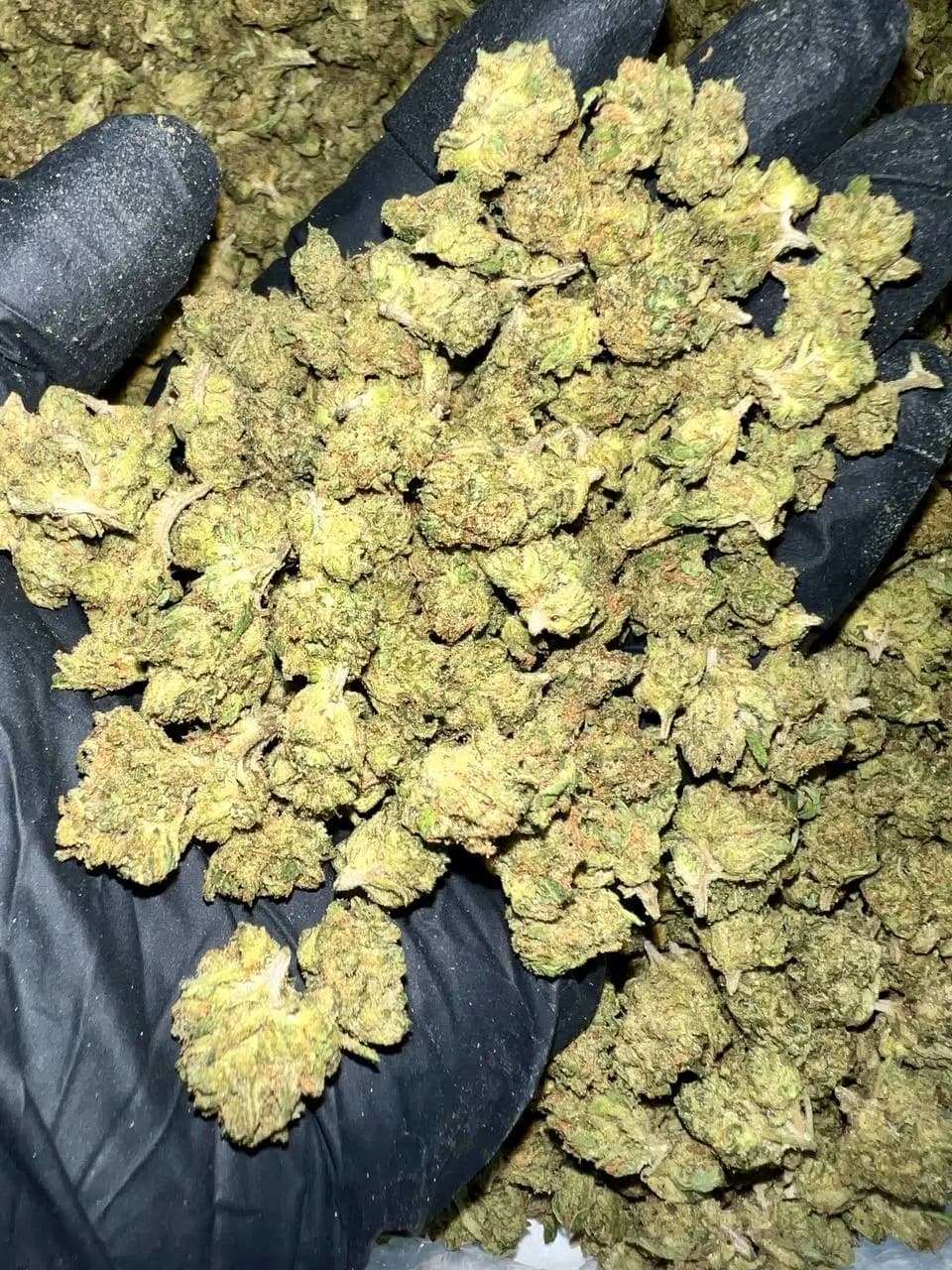 Gelato Cake