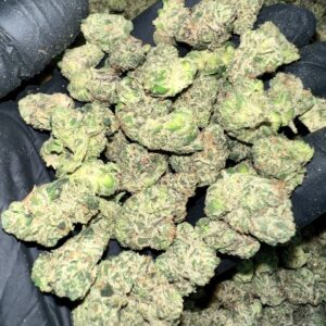 Candy Gelato THCA Flower bulk wholesale THCA flower product image
