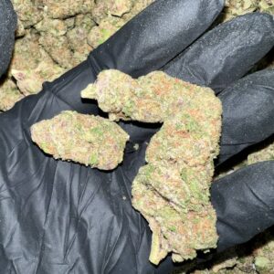 Citrus Blast THCA Flower bulk wholesale THCA flower product image