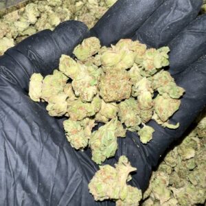 Hella Jelly THCA Flower bulk wholesale THCA flower product image