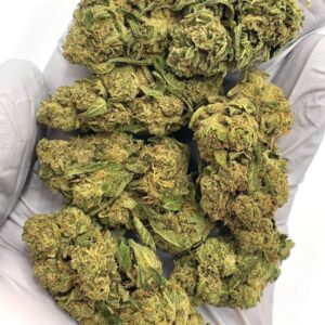 Hi-Octane Cookies THCA Flower - premium bulk THCA hemp flower image