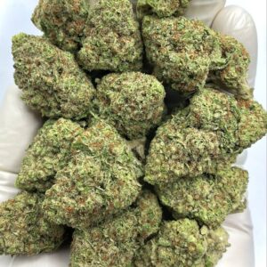 Papaya Punch THCA Flower - premium bulk THCA hemp flower image