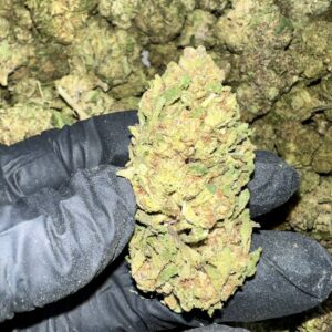 Zerealz Pie THCA Flower bulk wholesale THCA flower product image
