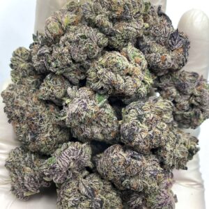 Purple Cream Exotic THCA Flower - premium bulk THCA hemp flower image