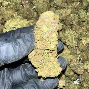 Wedding Drop THCA Flower bulk wholesale THCA flower product image